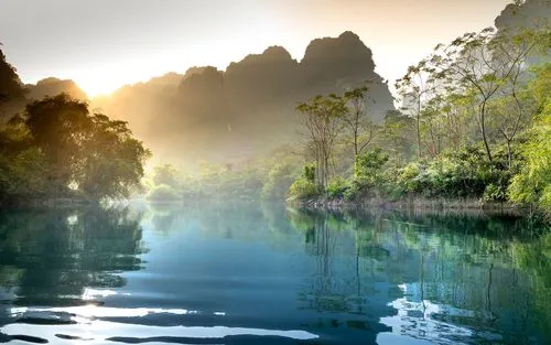 全自动环保节能